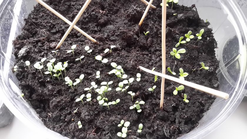 Доброе снежное весеннего утро😊❄☁🌱