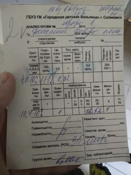 Результаты анализов