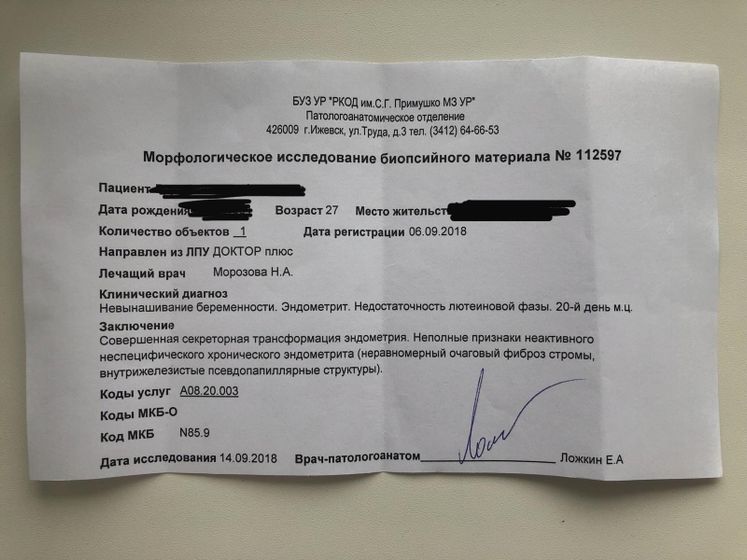 Результат пайпель