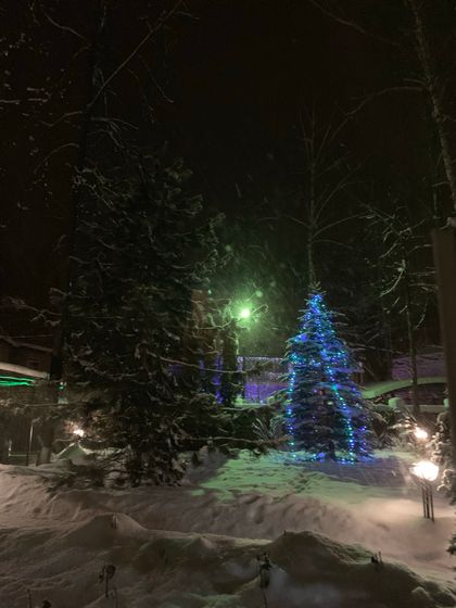 С Рождеством Христовым !