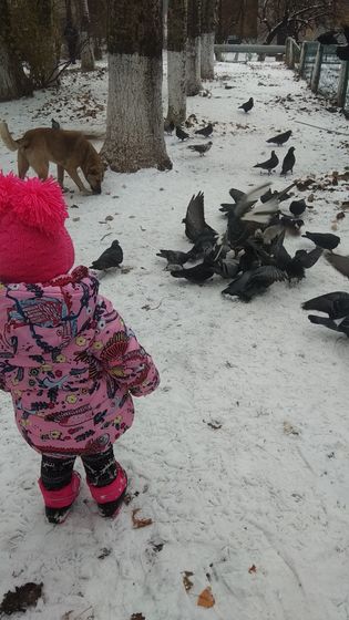 Первый снег🌨️❄️❄️❄️
