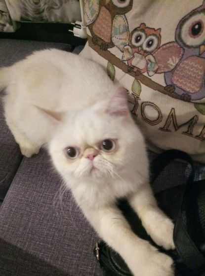 Моя 😍