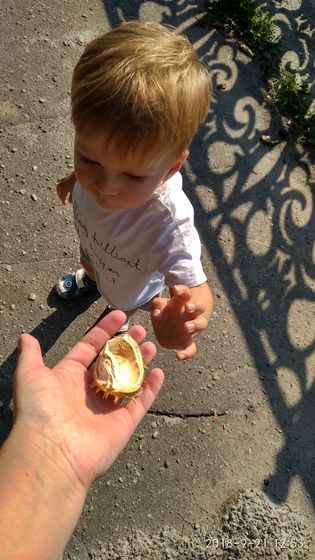 Последний день лета