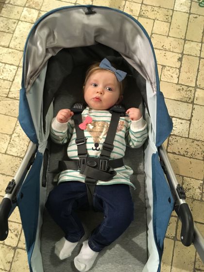Наша колясочка UppaBaby Minu