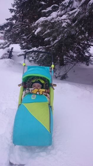 10 месяцев👣