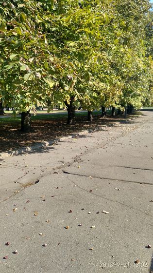 Последний день лета