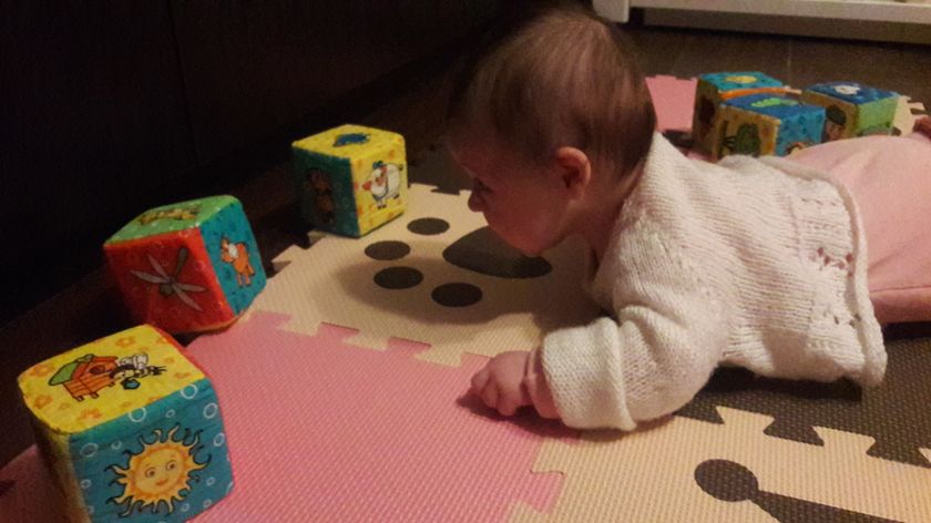 Половая жизнь