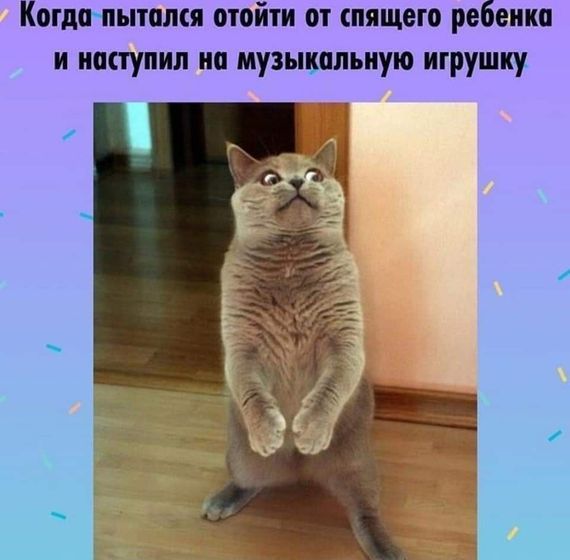 😂😂😂😂😂😂