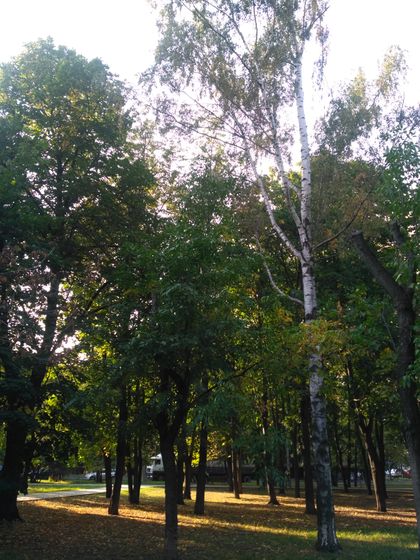 Первый осенний вечер😊🍀🍂🍁🌿🍃