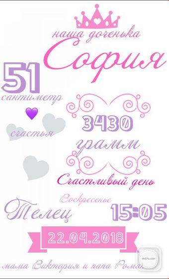 Фотография