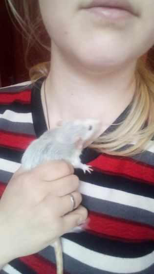 Мой Сёма