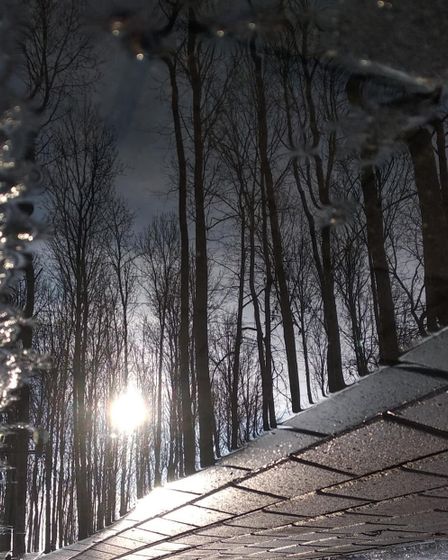 Прогулка по парку