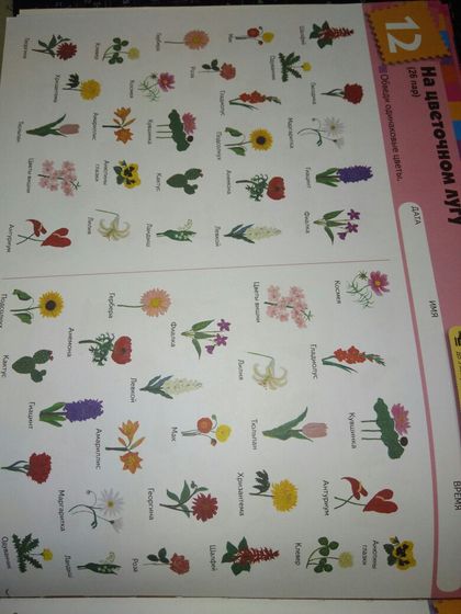 Тетради Kumon