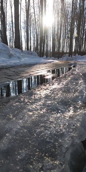 Прогулка по парку
