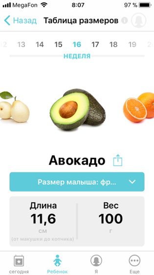 16 неделя😜