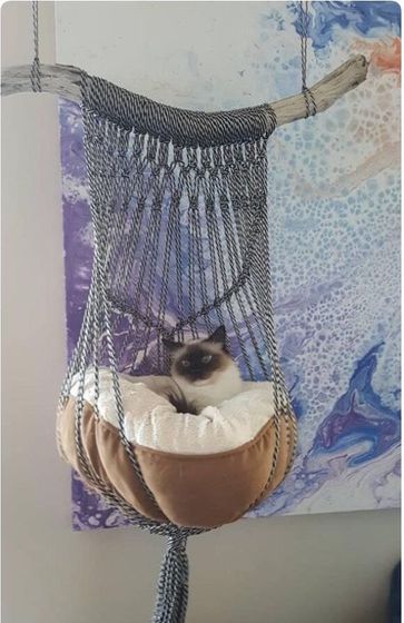 Для животин