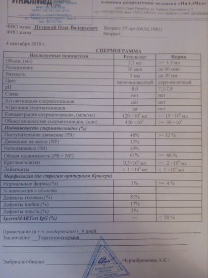 Тема спермограммы