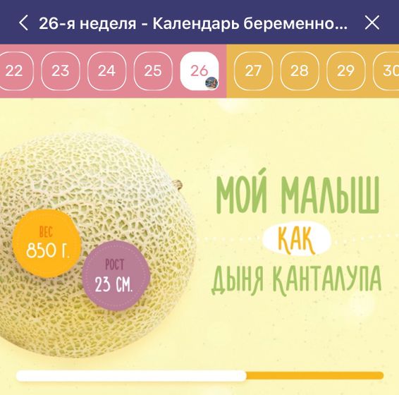 Новая неделя ?явка в жк
